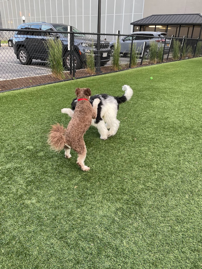 67685748104__D4EB5047-EEC4-4280-927D-97E986F884ED